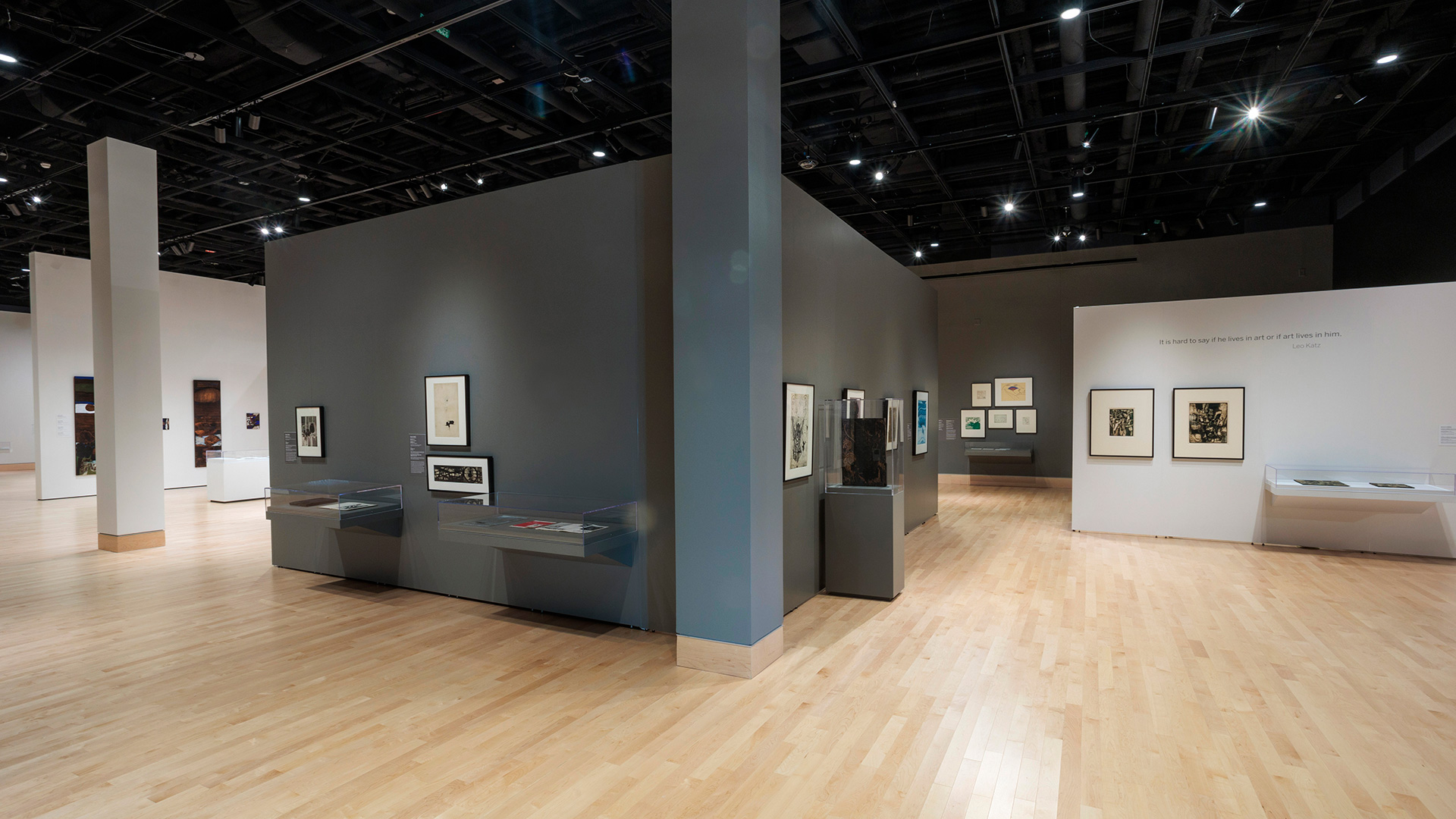 Wide angle shot of the main gallery