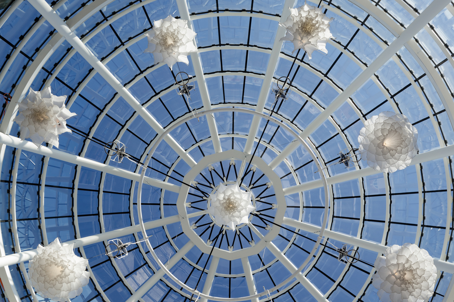 An underside view of the Shylight installation during the daytime