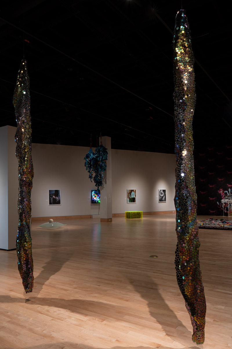 Reflections installation in the Anne Noland Edwards Gallery 
