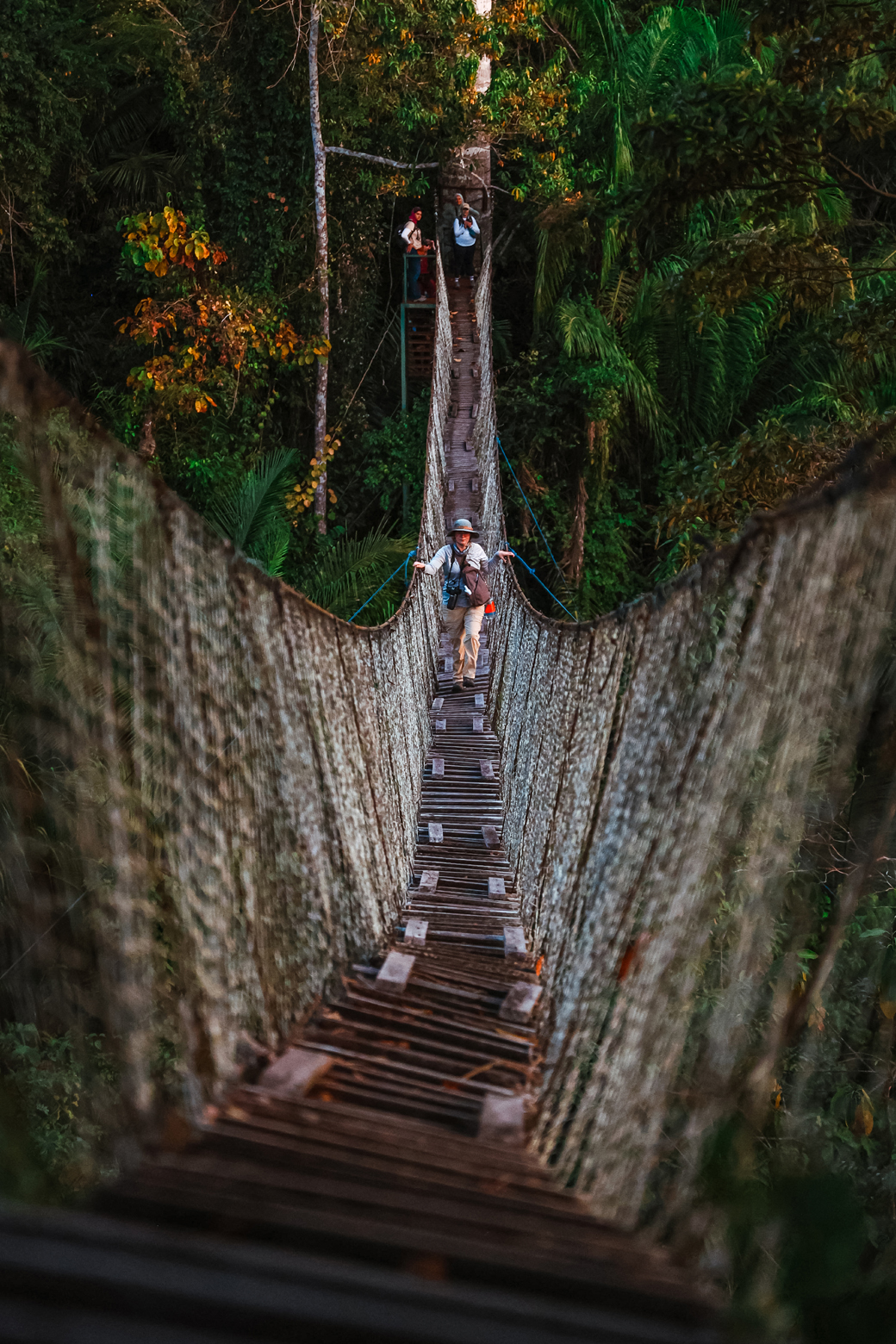 A wooden and string hanging bridge 